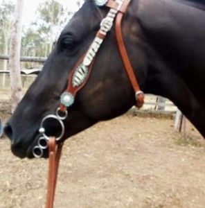 Meet your Posher, Ricky